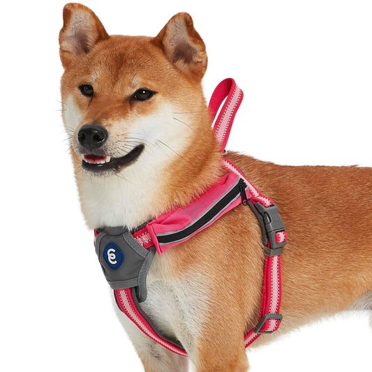 Back to Basics Reflective Dog Harness with Treat Pocket