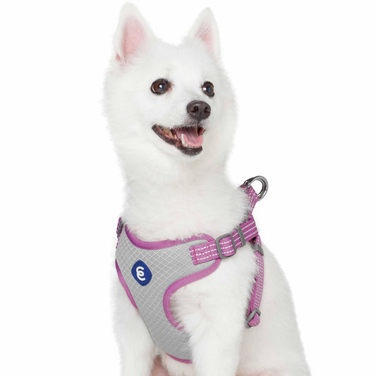 Better Basics Reflective Dog Harness Vest