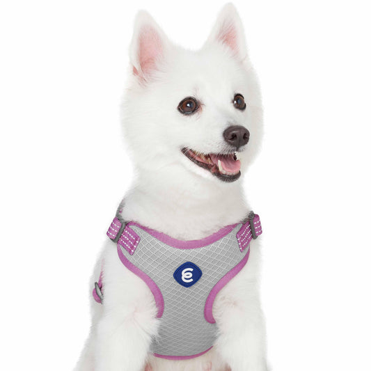 Better Basics Reflective Dog Harness Vest