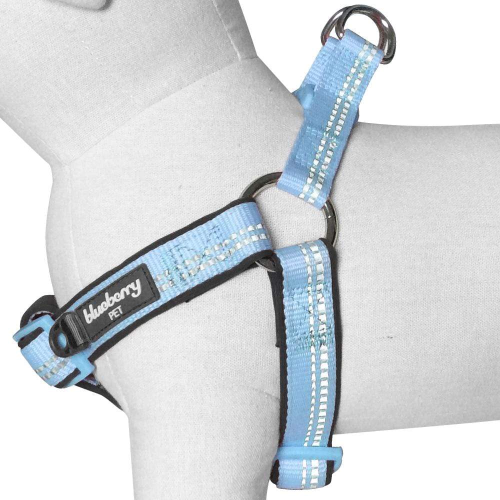 Reflective Hues of Spring 3M Reflective Neoprene Padded Dog Harness