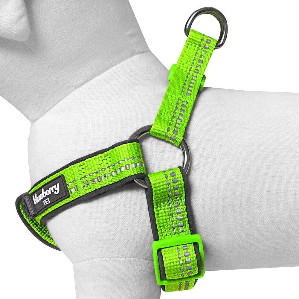 Reflective Hues of Spring 3M Reflective Neoprene Padded Dog Harness