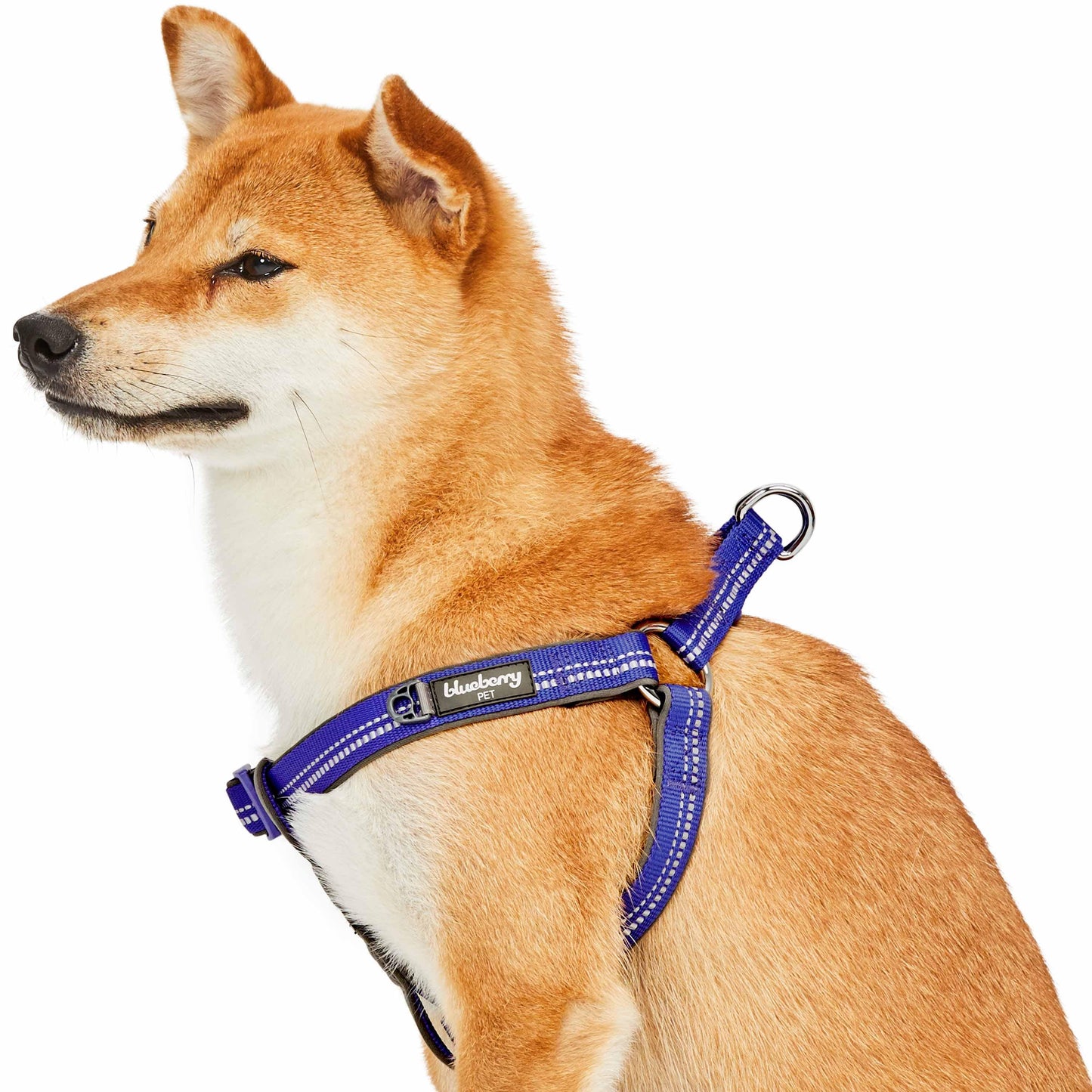 Reflective Hues of Spring 3M Reflective Neoprene Padded Dog Harness