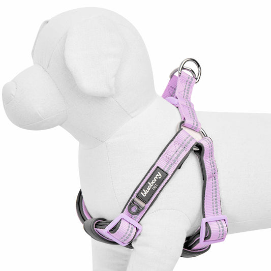 Reflective Hues of Spring 3M Reflective Neoprene Padded Dog Harness
