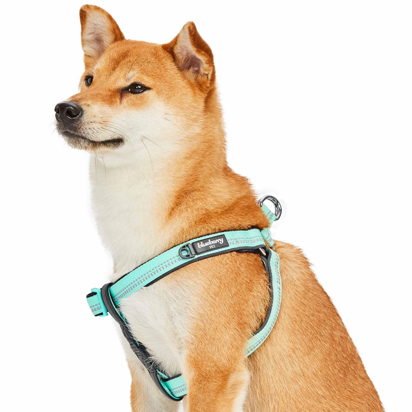 Reflective Hues of Spring 3M Reflective Neoprene Padded Dog Harness