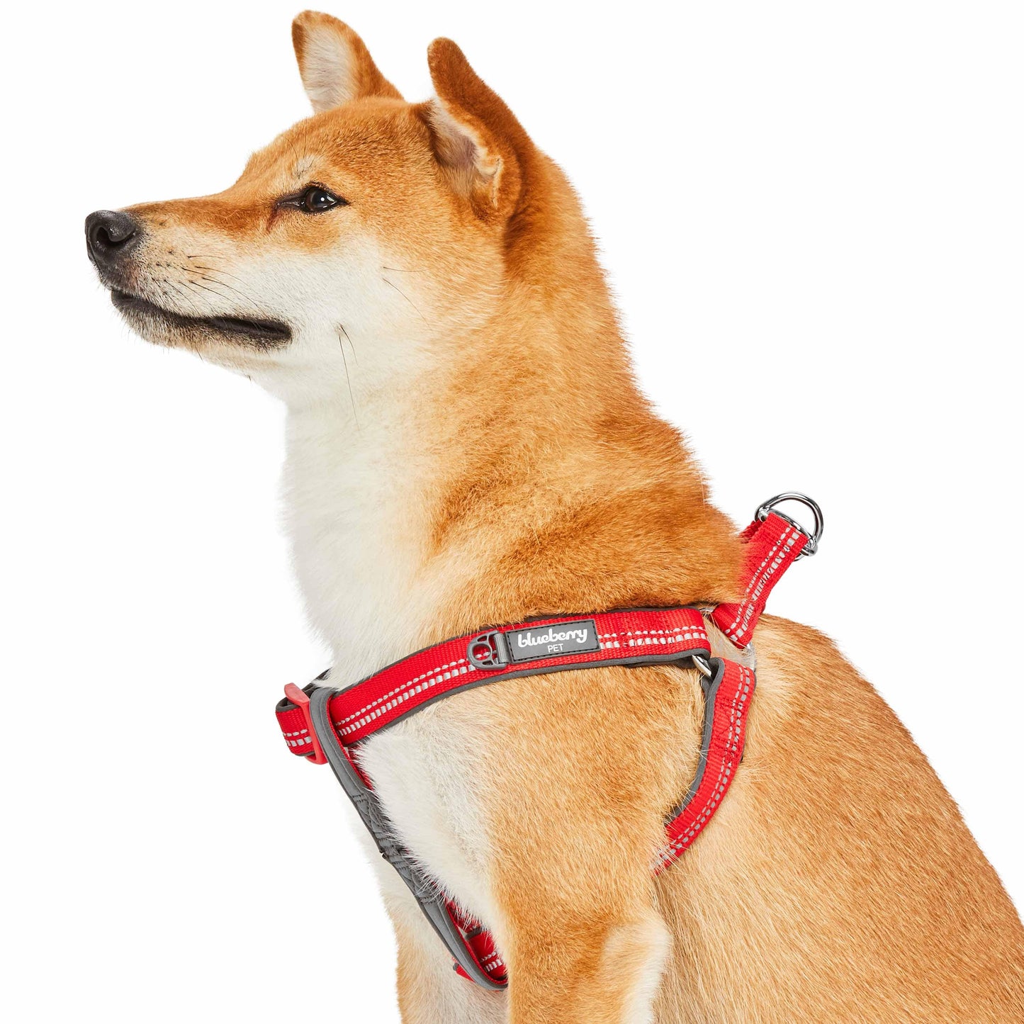 Reflective Hues of Spring 3M Reflective Neoprene Padded Dog Harness