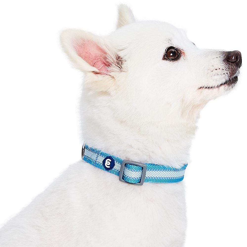 Back to Basics Reflective Dog Collar
