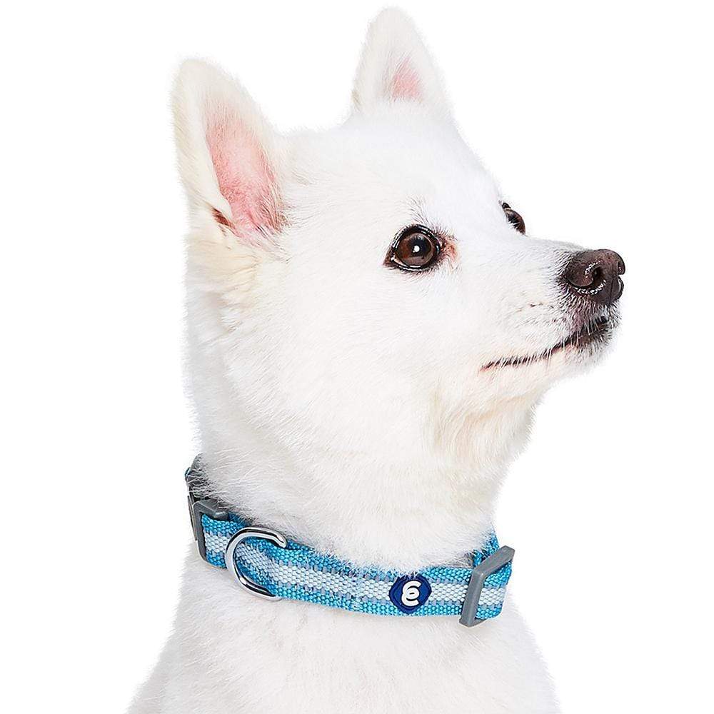 Back to Basics Reflective Dog Collar