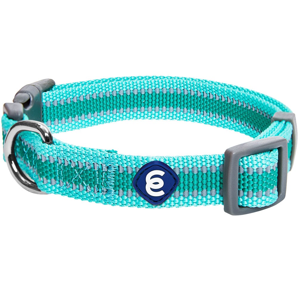 Back to Basics Reflective Dog Collar