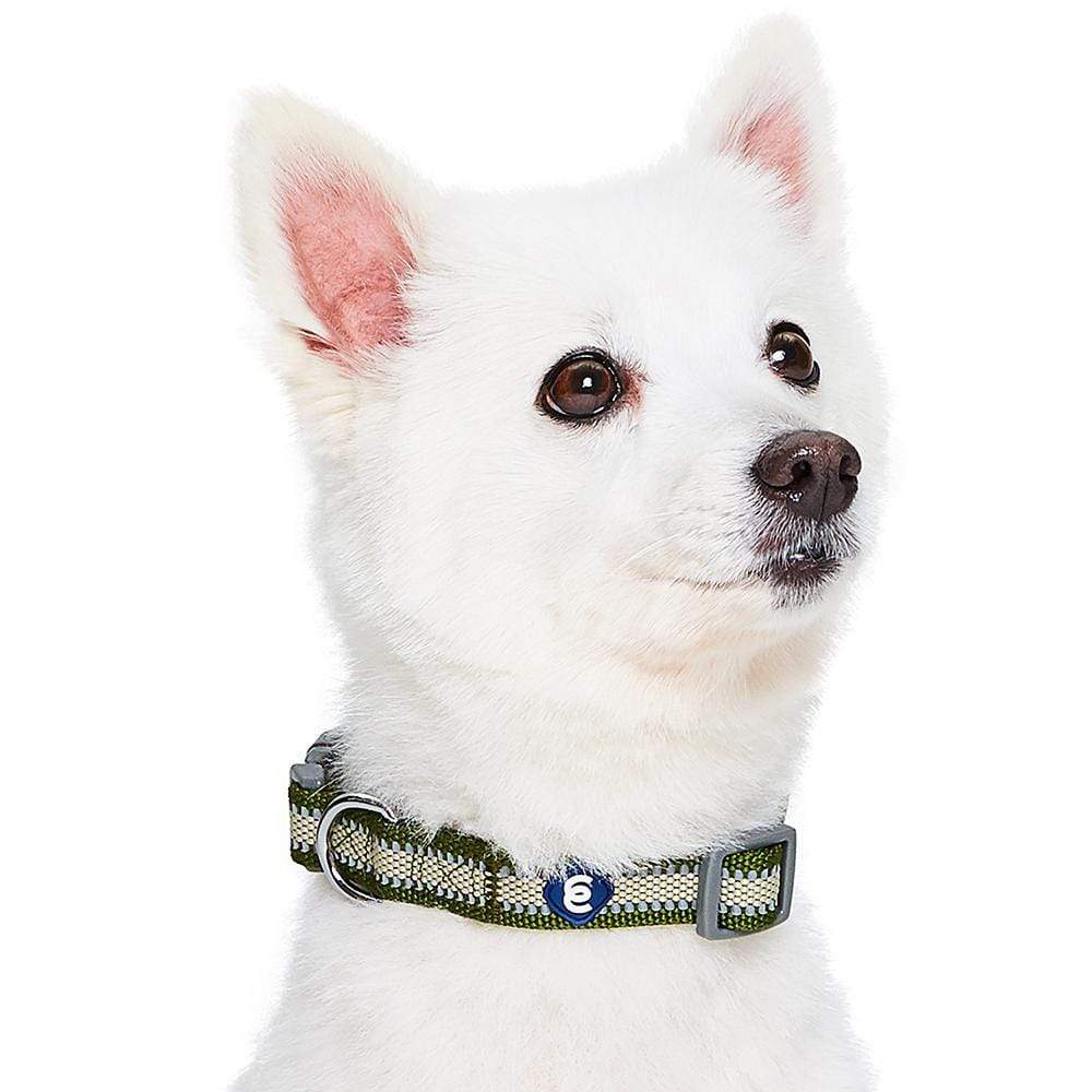 Back to Basics Reflective Dog Collar