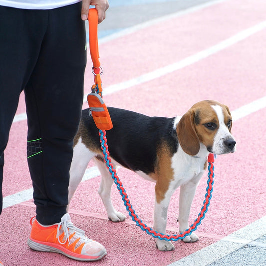 Reflective Handmade Braided Dog Rope Leash, 4 ft