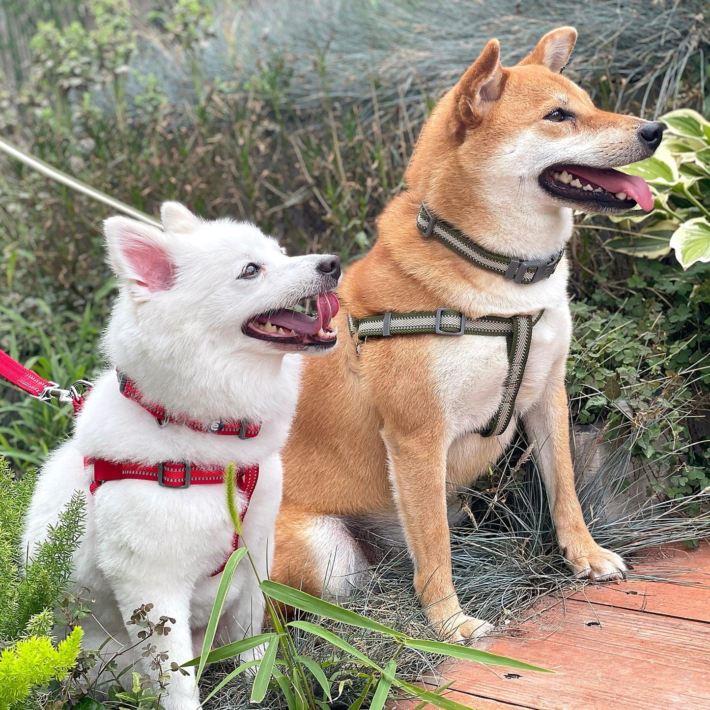 Back to Basics Reflective Step-in Dog Harness
